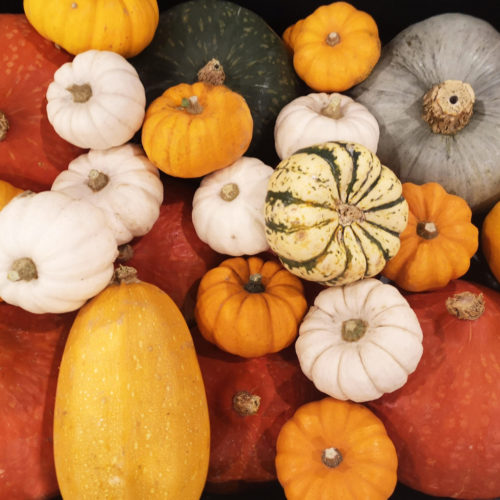 panier-de-courges